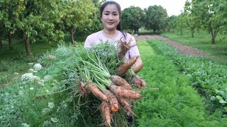 10 Weeks Pregnant Mom Cooking - The First Time I Harvest Carrot For Cooking