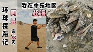 《环球探海记》阿曼 第25天:今天虽是小潮,但是完全不影响赶海,依然海获多多!#真实赶海记录#阿曼自由行#中东地区