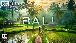 BALI in 8K Ultra HD HDR - The Island of the Gods (60 FPS) screenshot 3