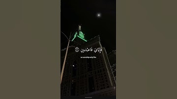 ياعبادي الذين آمنوا إن أرضي واسعة فإياي فاعبدون )  عبد الرحمن مسعد  سورة العنكبوت