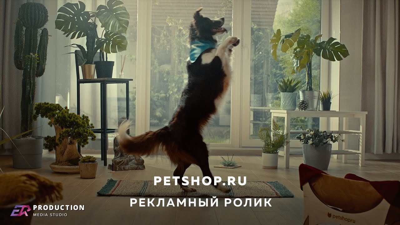 Интернет Магазин Для Животных Petshop Ru