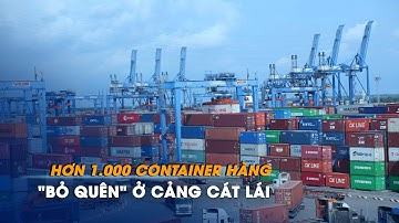 Hơn 1.000 container hàng nhập khẩu "bỏ quên" ở cảng Cát Lái | Chuyển động kinh tế