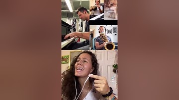 NumNum Cat | TikTok | Duet Chain | Balkan Music