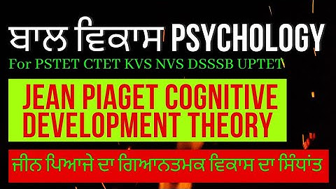 MCQ Jean Piaget cognitive development theory Child development and pedagogy for Pstet ctet Htet Reet