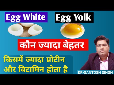 Which Is Healthier Egg Yolk or Egg White? | Protein & Fat Content Comparison Explained..