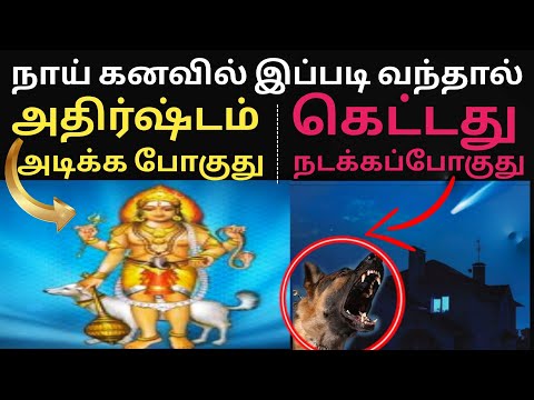 Nai kanavil vanthal enna palan/நாய் கனவில் வந்தால் அதிர்ஷ்டமா? துரதிர்ஷ்டமா?kanavu palangal