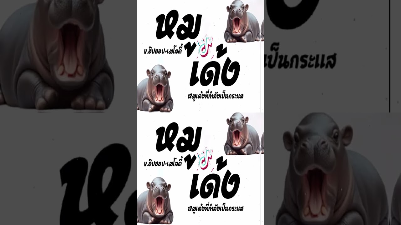 เพลงแดนซ์มันส์ๆ2024 (หมูเด้ง) V.ฮิปฮอป กำลังฮิตในTiktok เบสแน่นๆ