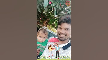 App: WBit Master : Particle.ly Video Status Maker 2022