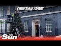 Downing St illuminated: Christmas tree installation signals festive season start