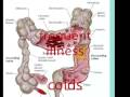 Use This Helpful Advice And Say Goodbye To Hemorrhoids