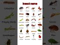 insect name#insectname #insects #spider#mosquito #cockroach #butterfly #ladybug#education#shorts.