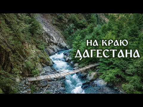 Video: Nga vjen kromozomi Y?