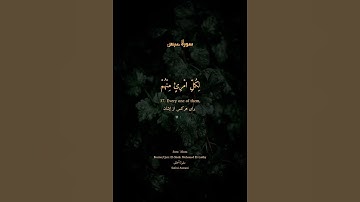 سورة عبس-يوم يفر المرء من اخيه-و أمّه و أبّيه-و صاحبته و بنيه-الشيخ محمد اليثي-اروعه قراءة#قرآن