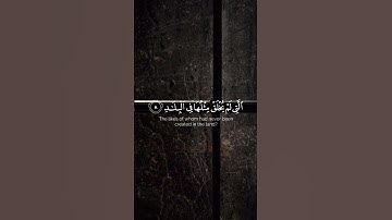 سورة الفجر القارئ رعد الكردي #رعد_الكردي