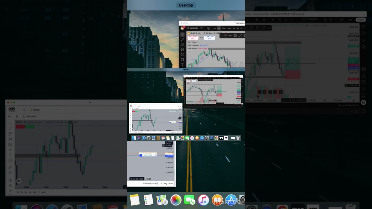 Structure + Risk = Survival