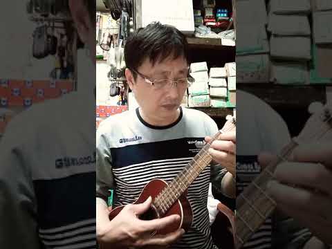(老江)烏克麗麗彈唱~一人一半(cover)(旺福Won fu)