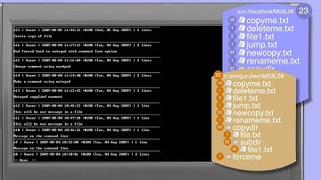 297_01-Subversion: copy files and directories-simple file