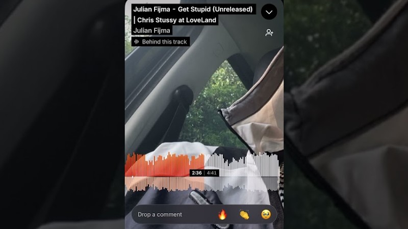 Chris Stussy - Get Stupid