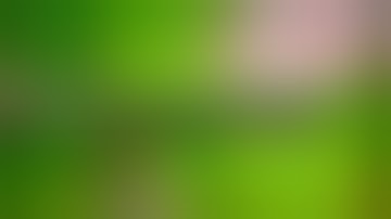 The Quietest 5.56 Suppressor Tested To Date - Otter Creek OCM5 🇺🇸