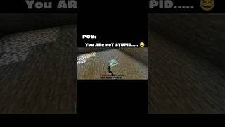 you are not stupid😂😂 #lyrics #minecraft #agnst