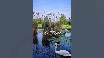 إلى من حاد عن صفي وولى تاركا كفي إلى من قال لي يوما يمين الله لن أخنع Islamicpost اكسبلور شعر 