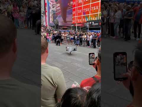 NEW YORK STREETS TIMES SQUARE Study Fun Newyork Businesschool Usa Student 