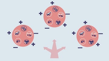 TU Delft - Making Good Policy Decisions Through Participatory Value Evaluation (PVE)