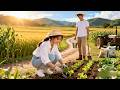[FULL] Farming system in apocalypse. She got rich. Her ex regretted everything.#minidrama Mp3 Song