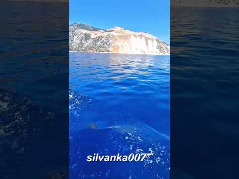 Like a fish
