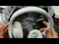 FX- Victoria Bluetooth Headphones - Budget Friendly
