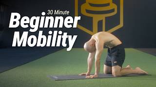 30 Minute Mobility Workout for Beginners | No Talking, Easy Stretches