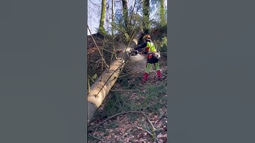 Subscribe so you don