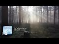Capture de la vidéo Breiner: A Greyish Sonnet (Music Video)