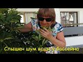 # Kипр. АЙЯ НАПА. Обед в NEW FAMAGUSTA. Прогулка по отелю.# VLOG 6