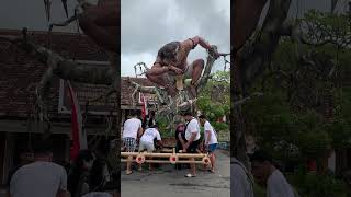 Proses Pemasangan Ogoh Ogoh ke Saanan #ogohogoh #nyepi1948 #nyepi2026