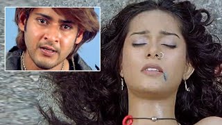 Mahesh Babu Wants To Wake Up Amrita Rao || Athidi Movie Scenes || Cinima Nagar
