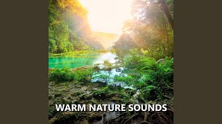 Splendid Summer Nature Sounds
