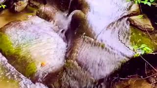 горный водопад с музыкой для сна. расслабляющий звук воды by mirdetey 1,595 views 3 years ago 8 minutes, 37 seconds