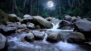 Nature Sounds Relaxing Sleep Music 💤 Gentle Forest River with Calm Piano Melody #nature #relax