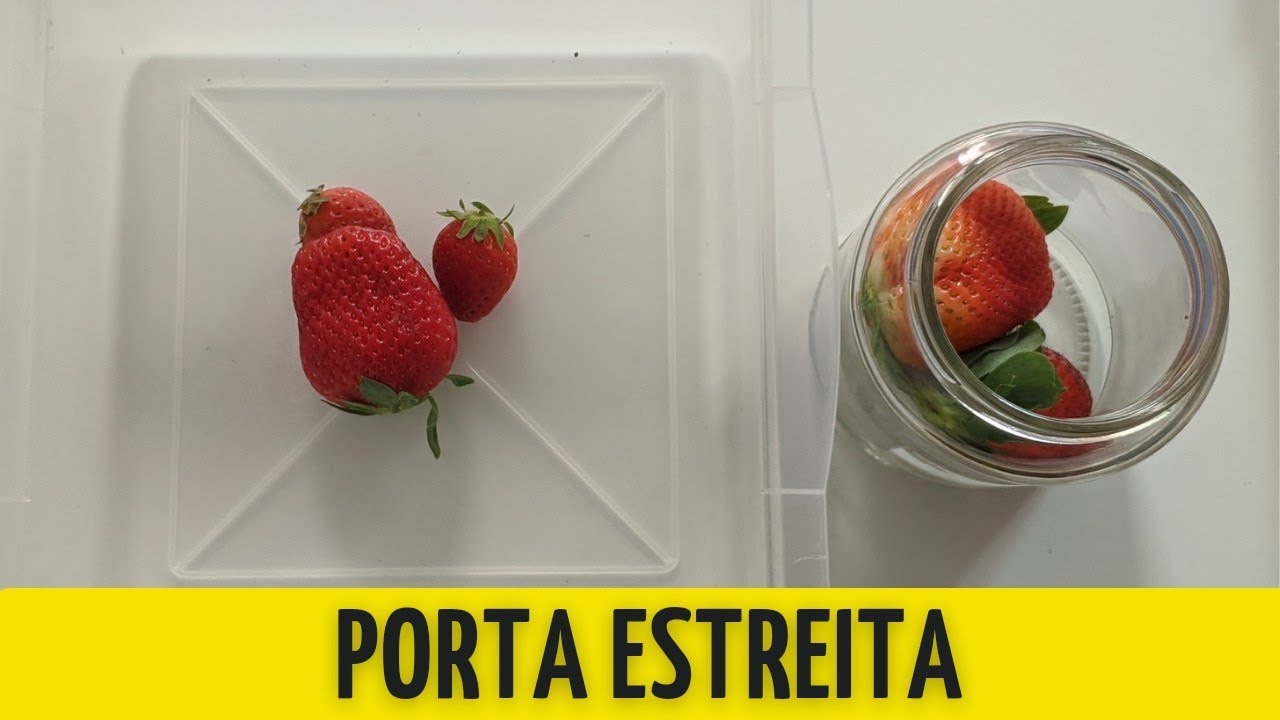 PORTA ESTREITA | Dinâmica e Quebra Gelo para Células #46