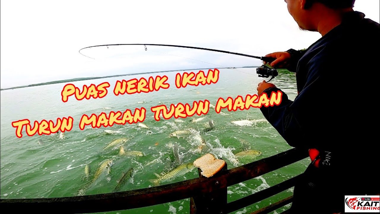 SAMBUNG LAGI NERIK IKAN|MANCING DI RAKIT YOYO B