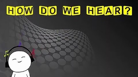 Sound। Part-4। NCERT Class 8 Science Chapter 13