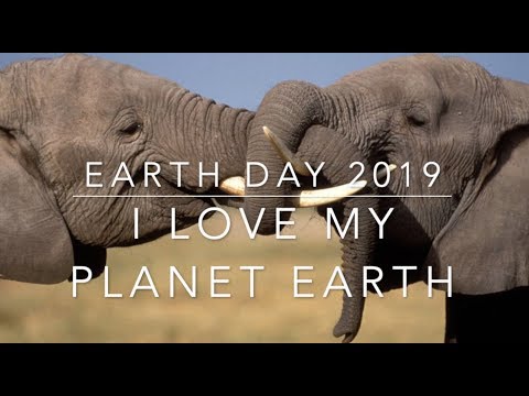 Video: Planet Love: Hvordan Vil Du Feire Earth Day? Matador Network