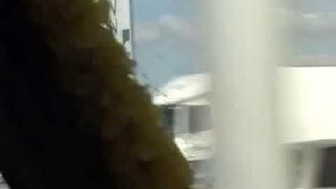 Ik ben begaan met jullie ellende; the occupation of a billboard.