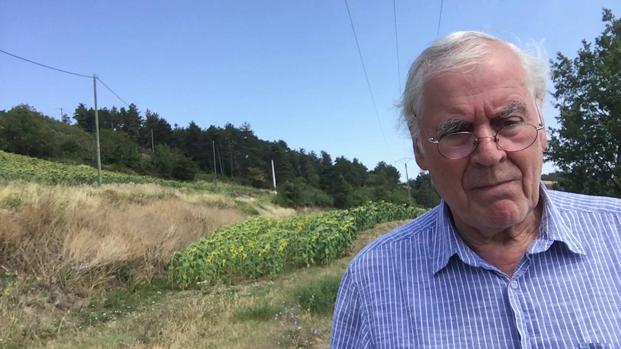 Whats the difference between information assets and knowledge assets?