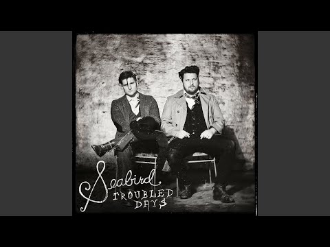 Extraordinary - Seabird