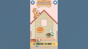 Satisoul ASMR Perfectly Organize Game – Level 30 DOGHOUSE Walkthrough Solutions | iOS / Android