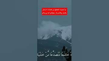 تلاوة رائعه ماشاءالله تبارك الله أرح مسامعك وقلبك بذكر الله #الله #اكسبلور #لايك
