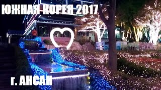 Южная Корея 2017, Ансан, Улица пьянка и Парк фонарей