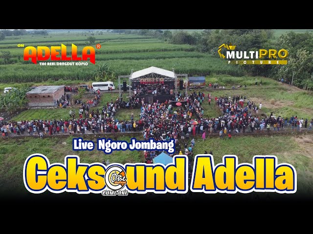 DENGAR CEKSOUND INI AGAR TIDUR NYENYAK || TEMAN BIASA - OM ADELLA Live Badang Ngoro Jombang class=